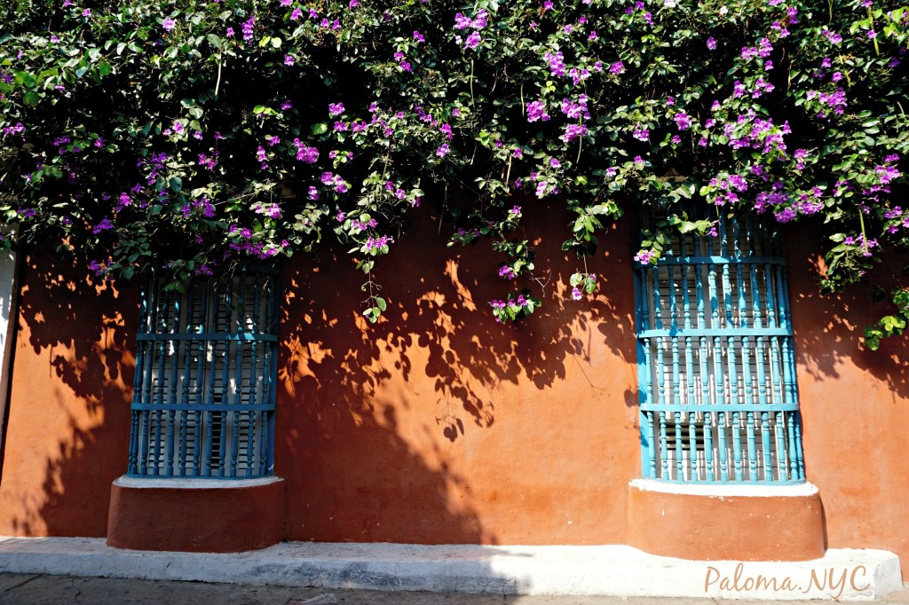 Walking Through History in&nbsp;Cartagena